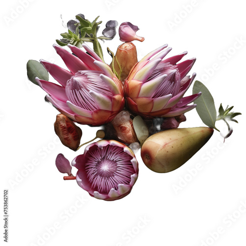 Waterblommetjie Bredie isolated on transparent background photo