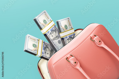 US dollars in pink purse / handbag, cash, banknotes, money photo