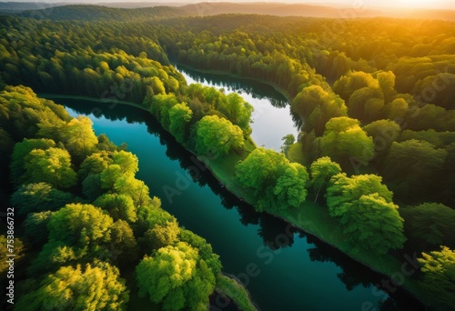 illustration, breathtaking aerial perspective lush green forest rivers meandering illuminated soft glow sunset, tree, vegetation, nature, landscape