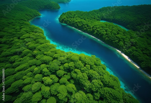 illustration, aerial perspective captures seamless transition dense lush forest deep blue sea, Aerial, Perspective, Captures, Seamless, Transition