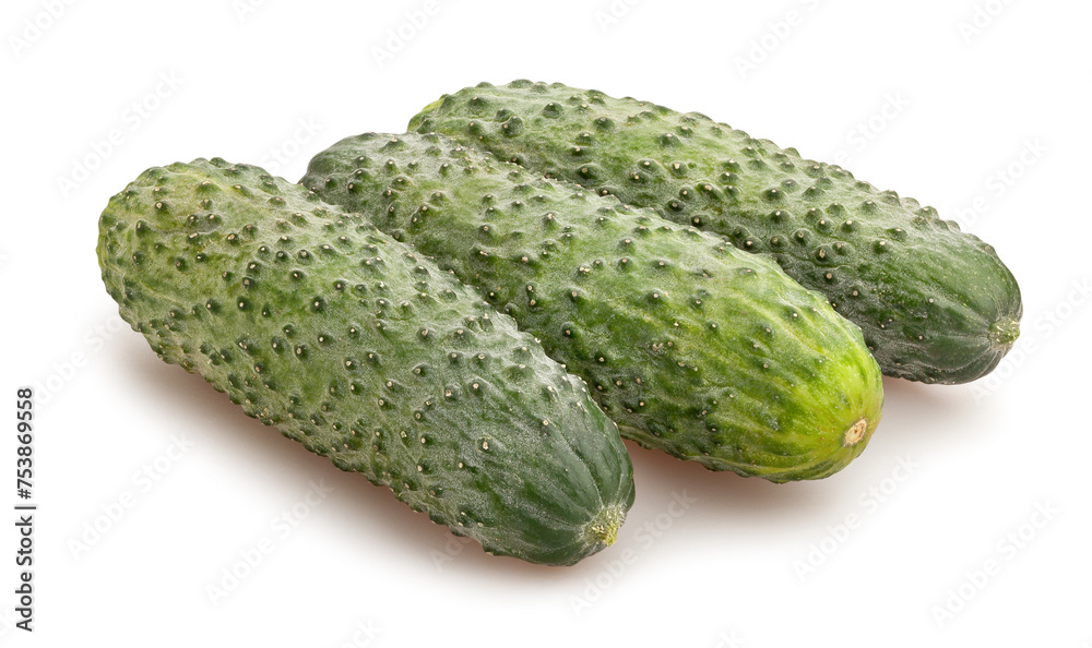 fresh pickling cucumber path isolated on white fresh pickling cucumber path isolated on white