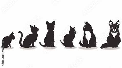 Domestic cats silhouettes on white background.