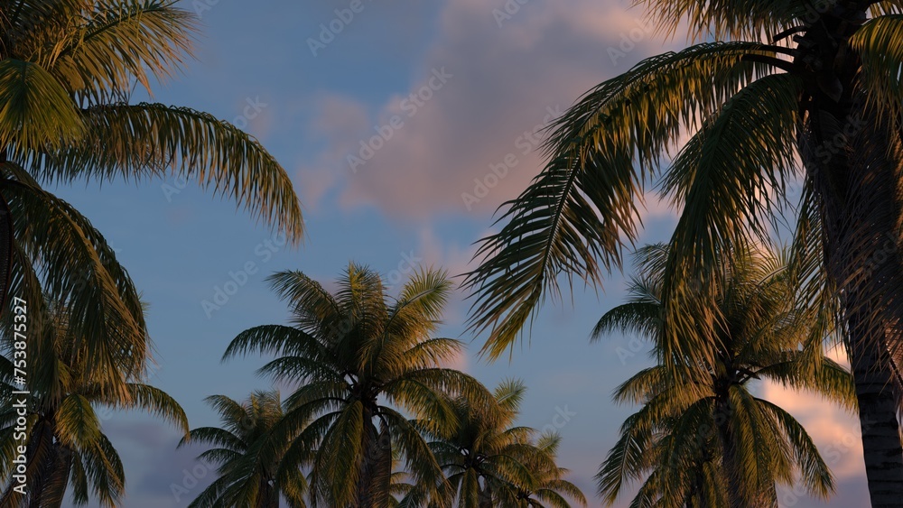 Coconut Palms
Coconut Palms