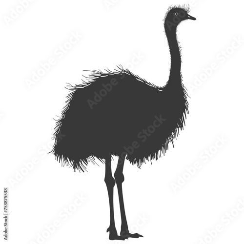 Silhouette ostrich animal black color only full body