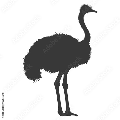 Silhouette ostrich animal black color only full body