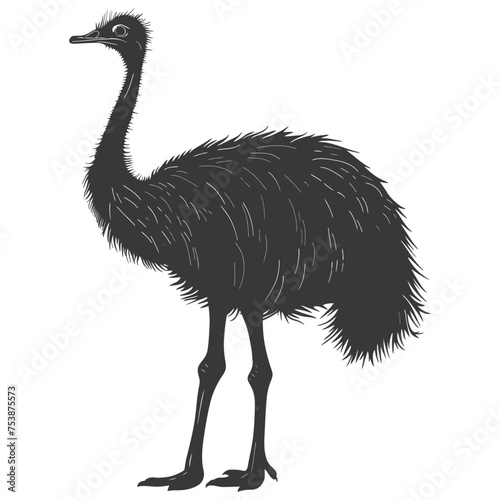 Silhouette ostrich animal black color only full body