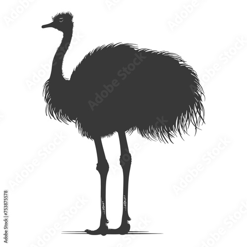 Silhouette ostrich animal black color only full body