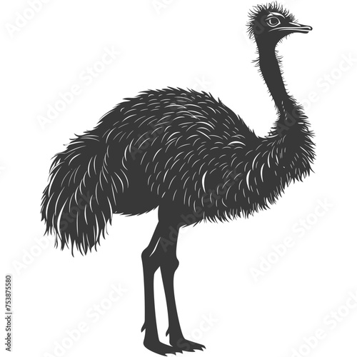 Silhouette ostrich animal black color only full body