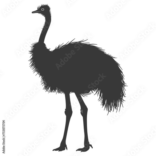 Silhouette ostrich animal black color only full body