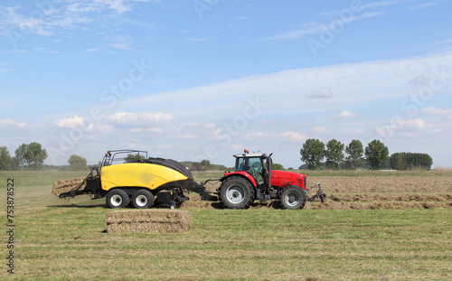 a tractor with a big baler is making big square hay and straw bales in a field with grass in the dutch countryside in summer