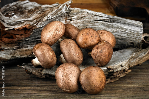 Culinary Treasure: 4K Ultra HD Image of Dried Shiitake Mushroom photo