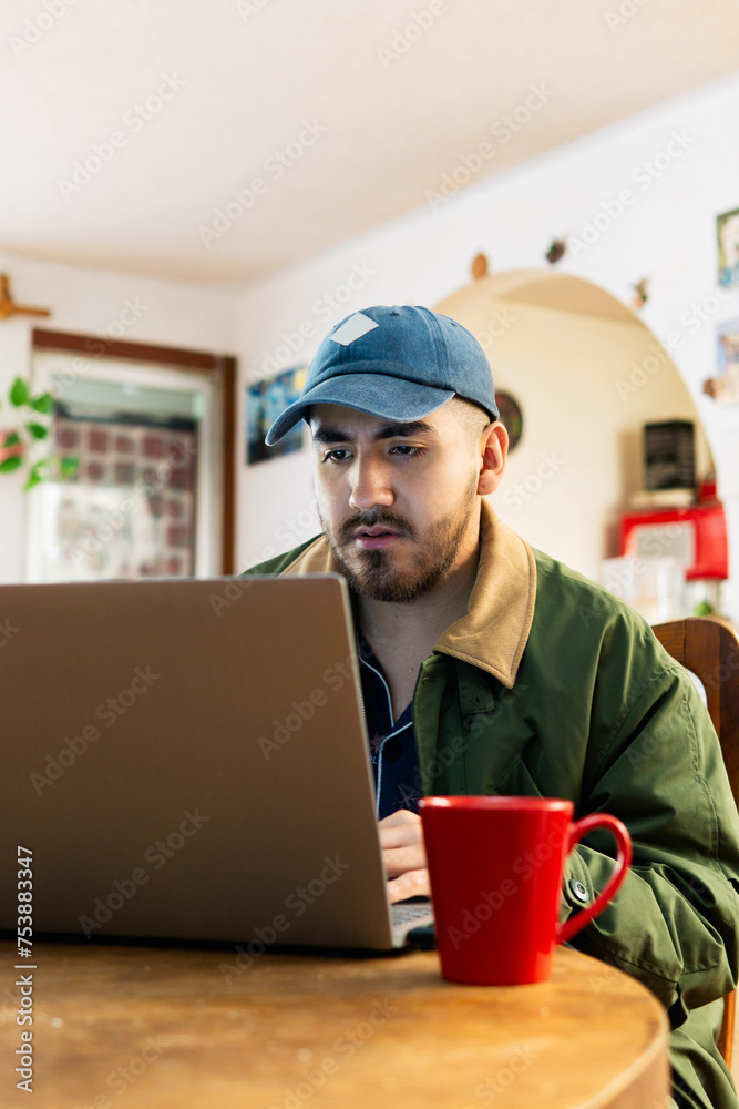 Young man working at home using computer.