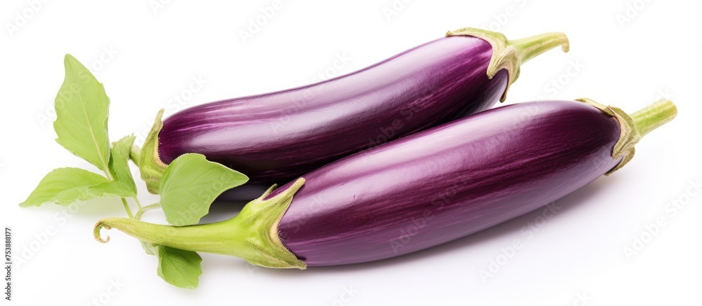 Two fresh eggplant pods, each with vibrant green leaves attached, are neatly displayed on a clean white background. The eggplants appear ripe and ready to be used in cooking or culinary preparations. Two fresh eggplant pods, each with vibrant green leaves attached, are neatly displayed on a clean white background. The eggplants appear ripe and ready to be used in cooking or culinary preparations.