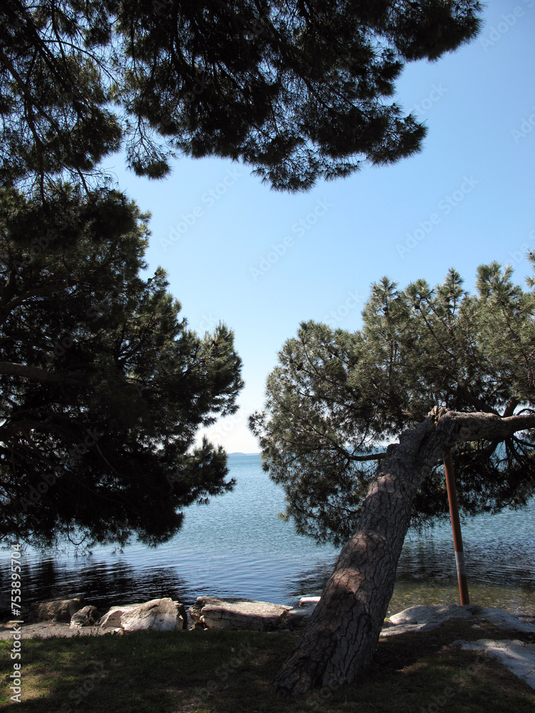 Obraz premium Bank of the lake Bolsena near Montefacione - Tuscia - Italy