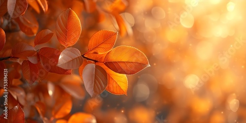 Autumn-Themed Festive Web Banner Highlighting Warm-Hued Leaves with Bokeh. Concept Web Banner, Autumn Theme, Festive, Warm-Hued Leaves, Bokeh © Ян Заболотний