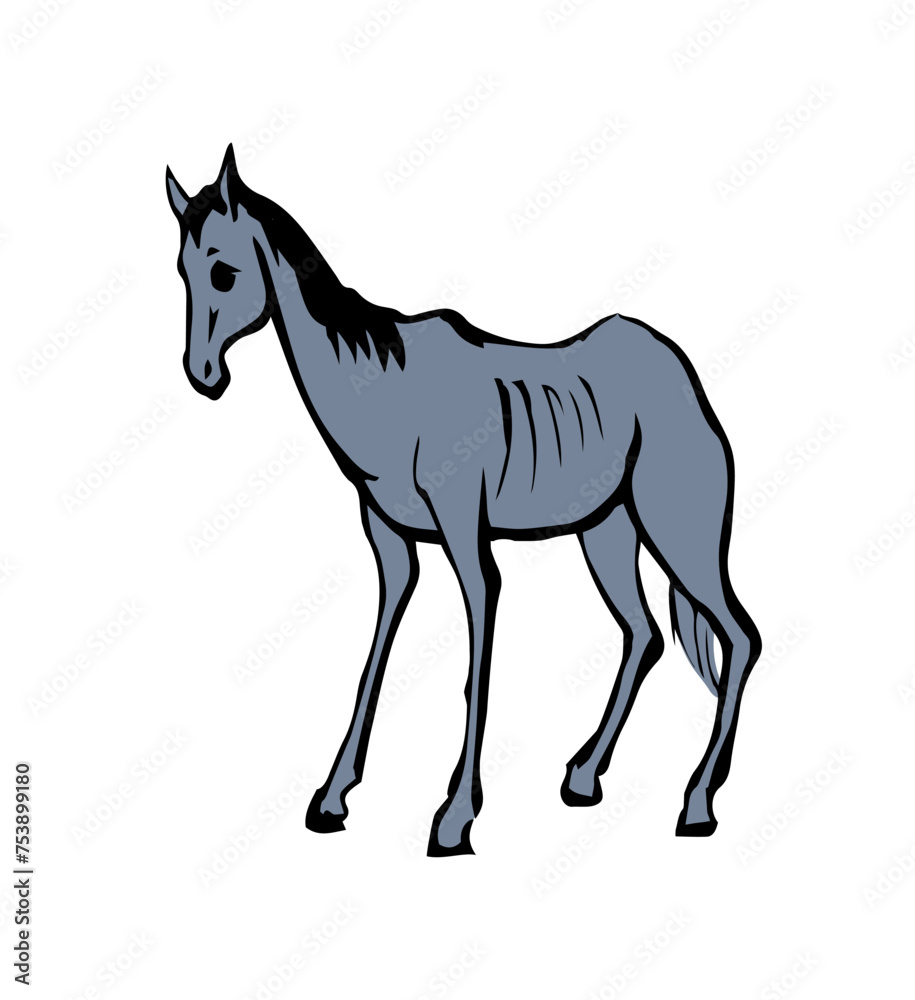 Starving skinny horse. Vector drawing Starving skinny horse. Vector drawing