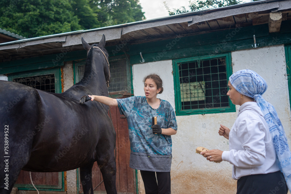 Learning how to Brush a Horse Learning how to Brush a Horse