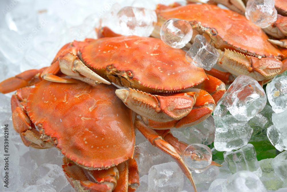 Culinary Elegance: 4K Ultra HD Image of Cooked Crab on Bed of Ice Culinary Elegance: 4K Ultra HD Image of Cooked Crab on Bed of Ice
