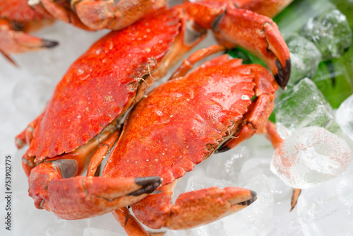 Culinary Elegance: 4K Ultra HD Image of Cooked Crab on Bed of Ice