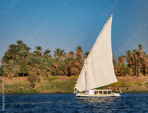 felucca sailboat along the Nile river  with it's iconic white triangular, lateen, sail 
