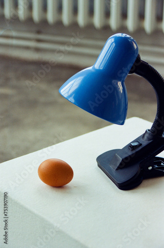 Raw egg under the lamp.