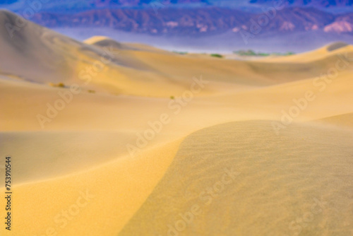 Afternoon Glow  4K Ultra HD Image of Sand Dune with Afternoon Light