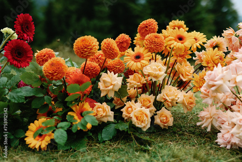 Landscaping floristry blooming decorative garden botanical natural