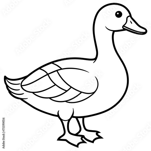 Duck Vector Art Illustration