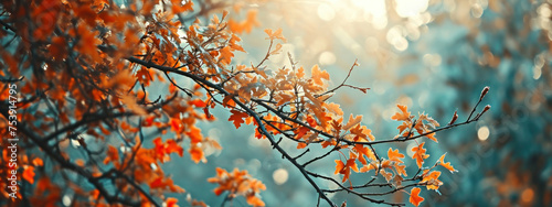 Vibrant Autumn Leaves on Tree Branch with Sunbeams Against Blue Sky Natural Beauty in Fall Season photo