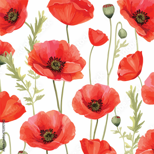 Watercolor poppy flower seamless pattern Flat vector