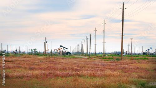 Oil Extraction Harmony: 4K Ultra HD Image of Oil Pump Jacks on Super Bloom Field in California