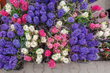 A colorful display of flowers with purple, white, and pink blooms
