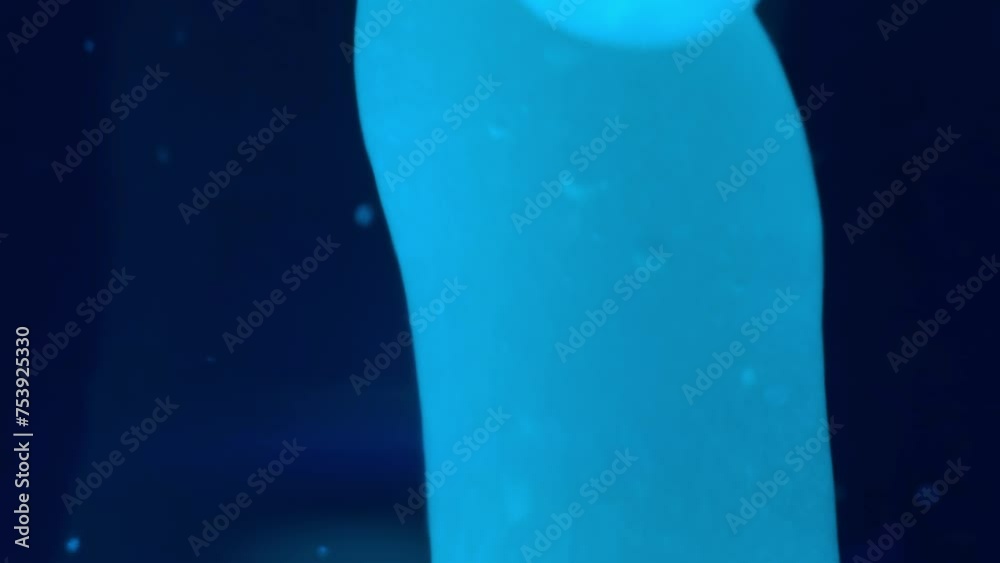 Close up abstract macro shots of blue lava lamp background