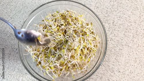 Fenugreek sprouts microgreens in a glass bowl on the table. Concept of diet, vegan, healthy products. Close up