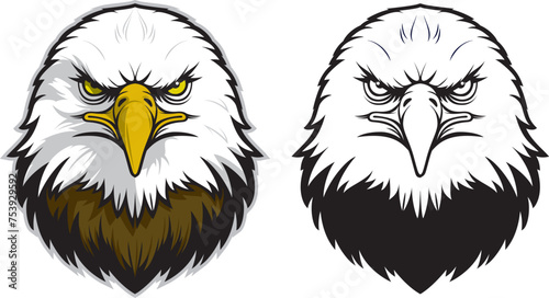 Eagle Head Front View