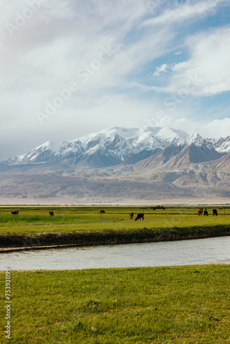 Pastoral Landscape with Snow-Capped Mountains