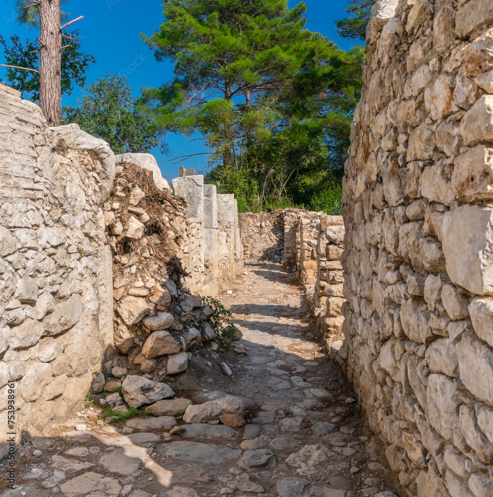 Picturesque ruins of the ancient city of Olympos, in Turkey. Ruins of the ancient city of Olympos near the village of Cirali in Turkey.