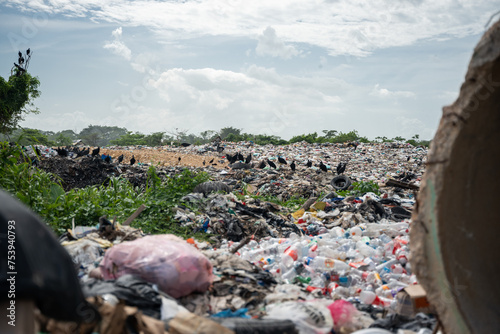 vultures on a landfill photo