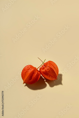 Japanese ground cherry flower