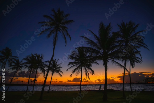 Palm Trees along the curving beach trail at Sunrise in San Juan, Puerto Rico, Tranquil seascape on La Poza del Escambrón Beach over Condado Shore