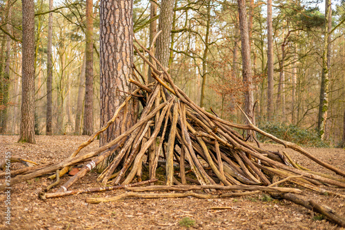 Fototapeta A self-built wooden hut in the forest at a forest clearing