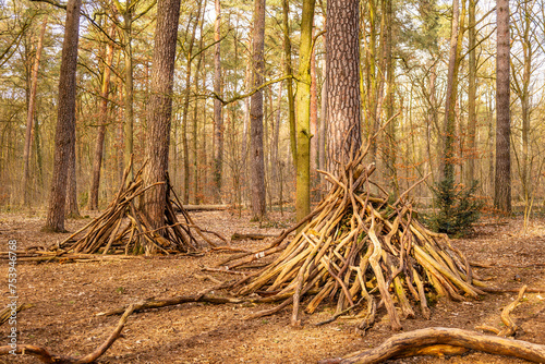 Принти на полотні A self-built wooden hut in the forest at a forest clearing