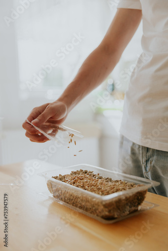 A young man plants wheat seeds in a container.