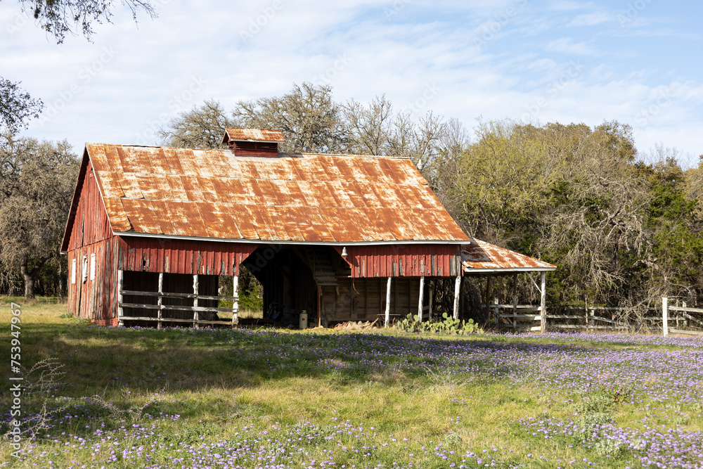 old barn in spring