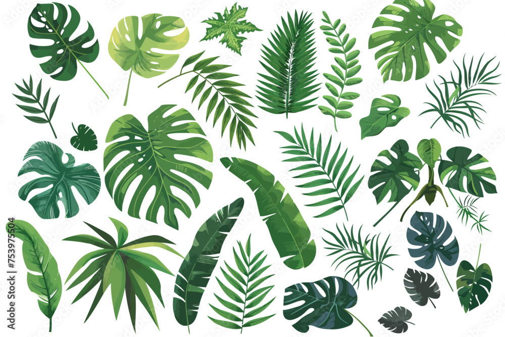 Tropical vines vegetation isolated vector style