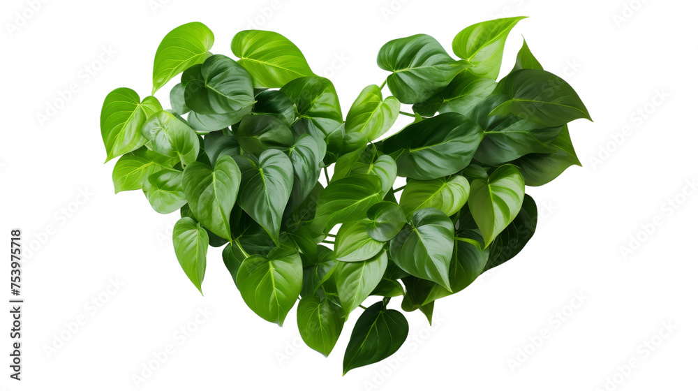 Heart Shaped Dark Leaf Isolated on transparent background, (PNG). Heart Shaped Dark Leaf Isolated on transparent background, (PNG).