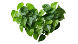 Heart Shaped Dark Leaf Isolated on transparent background, (PNG).