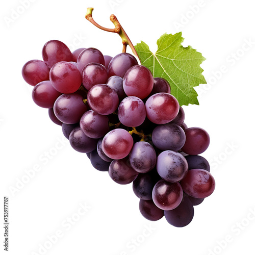Zinfandel grape isolated on transparent background