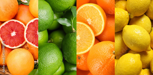 Citrus fruits. Fresh grapefruits, limes, oranges and lemons, top view