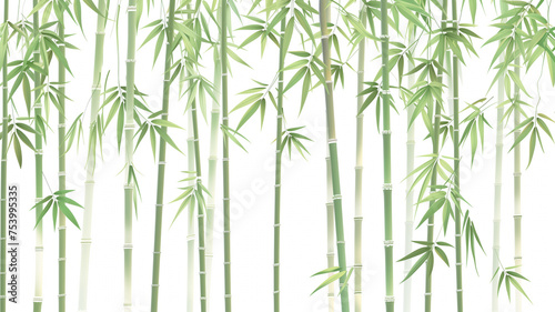 A row of bamboo trees with a white background